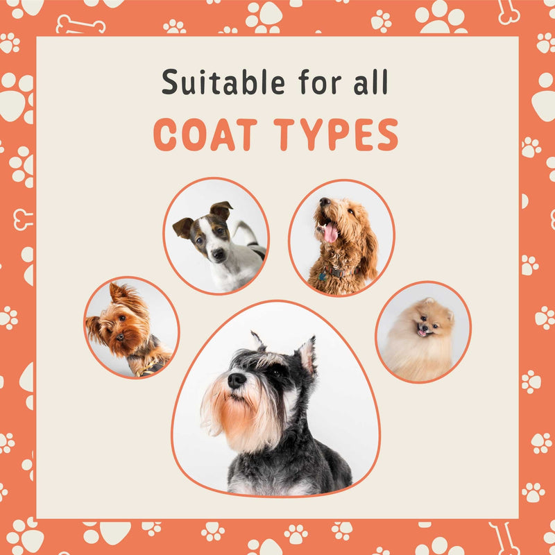 Groomers Peach & Apricot Dog Shampoo