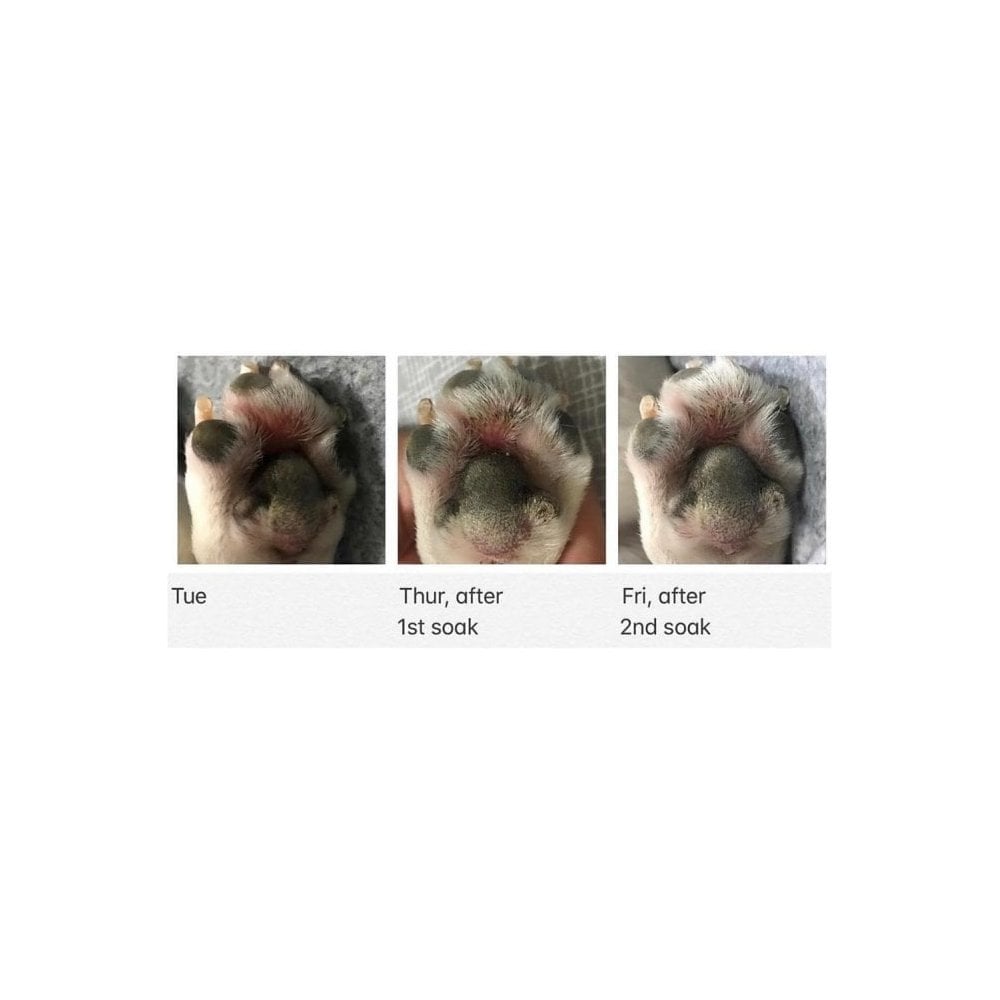 Warren London Deep Cleaning Paw Fizz Tablets