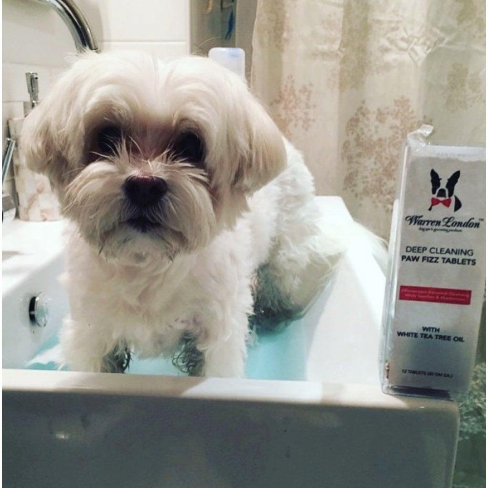 Warren London Deep Cleaning Paw Fizz Tablets