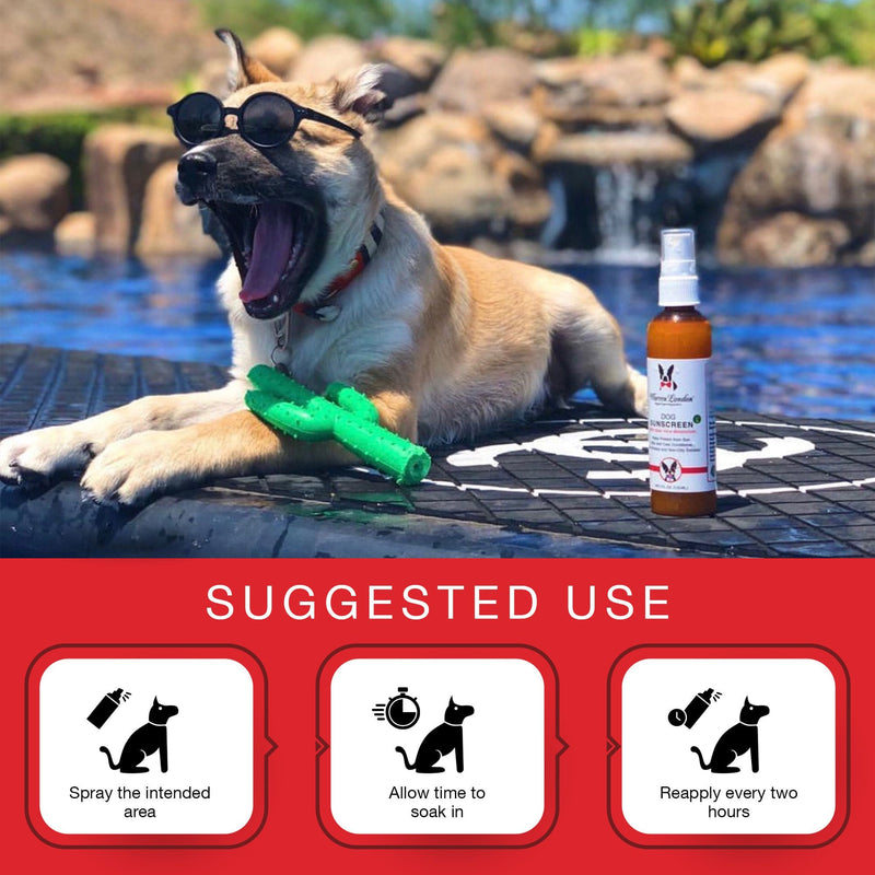 Warren London Dog Sunscreen 120ml