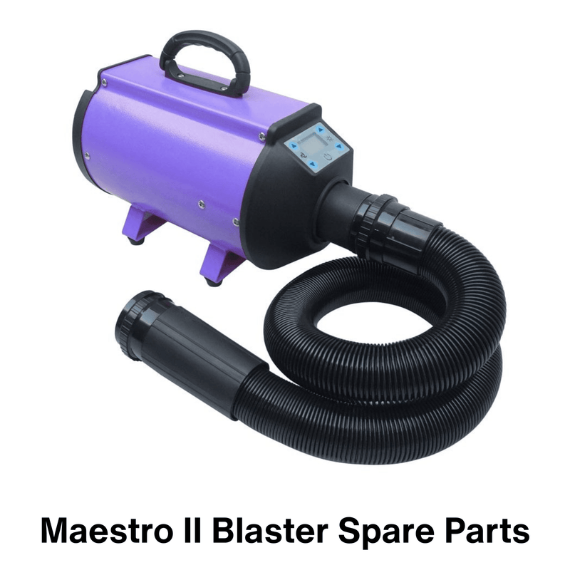 Maestro II Blaster Spare Parts