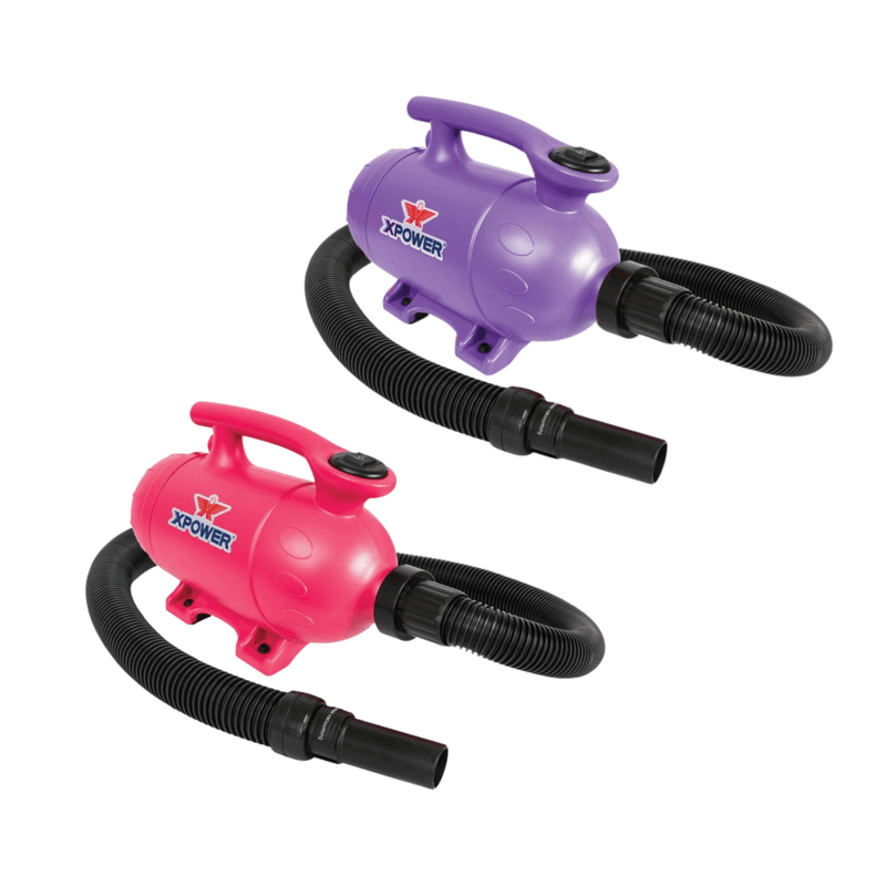 XPower B-2 2-in-1 Midi Dryer and Vacuum
