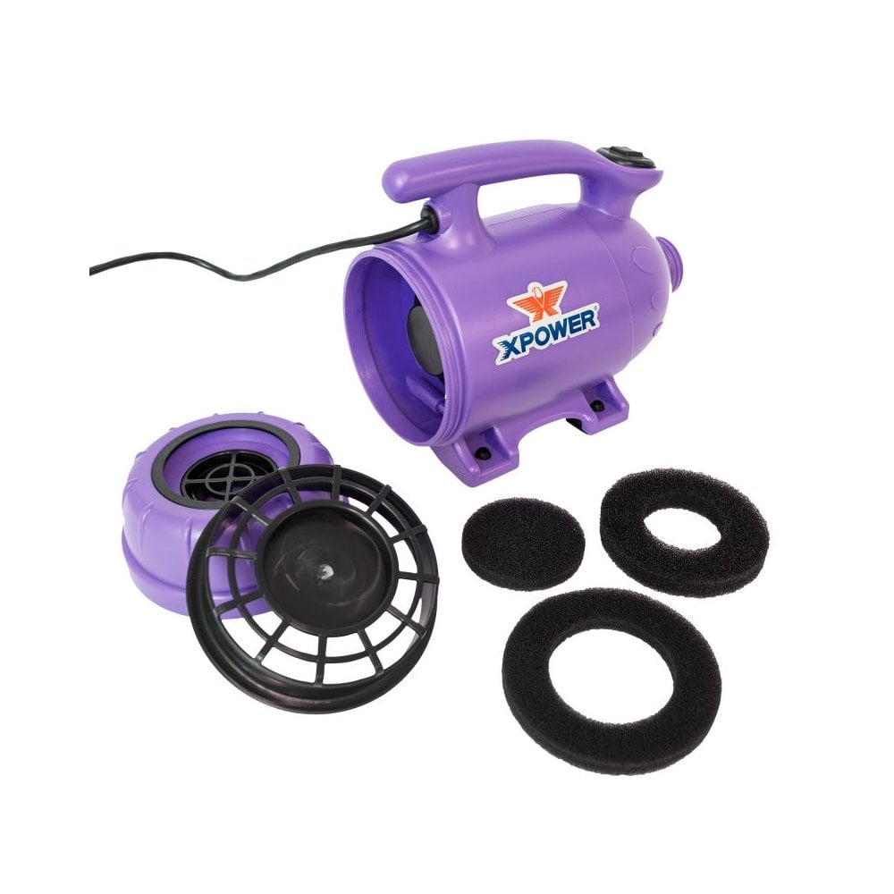 XPower B-2 2-in-1 Midi Dryer and Vacuum