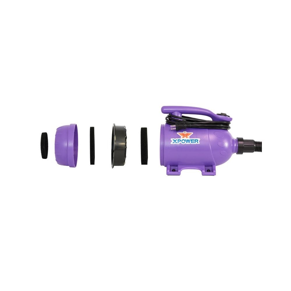 XPower B-2 2-in-1 Midi Dryer and Vacuum