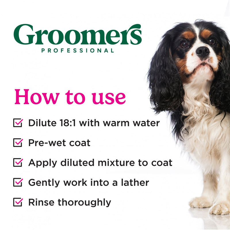 Groomers Everyday Bubblegum Bliss Shampoo