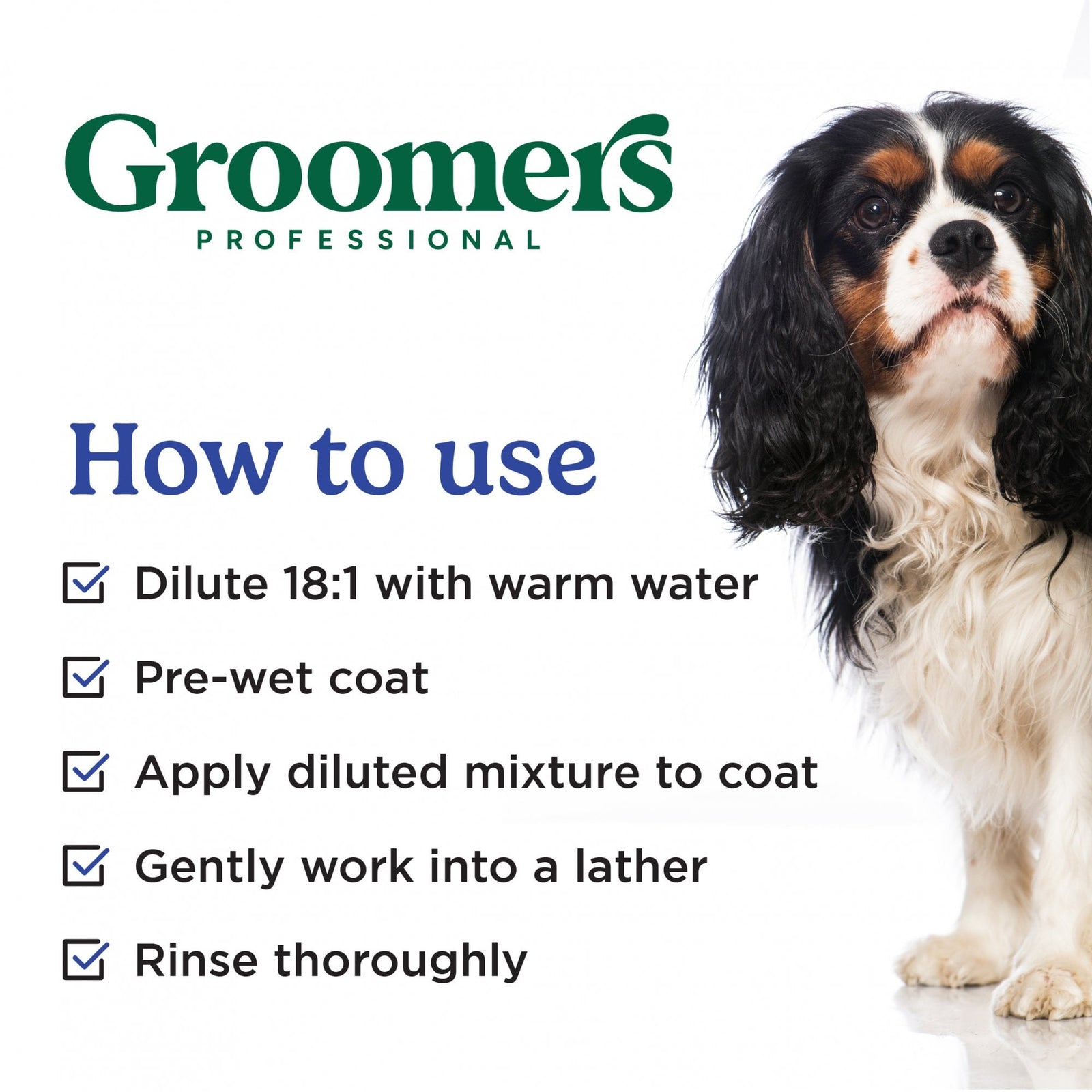 Groomers Everyday Blueberry Delight Shampoo