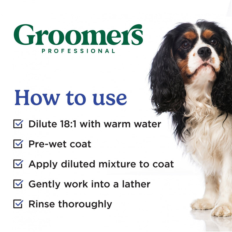 Groomers Everyday Blueberry Delight Shampoo