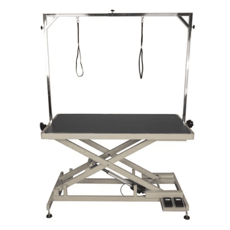 Aeolus Electric Grooming Table