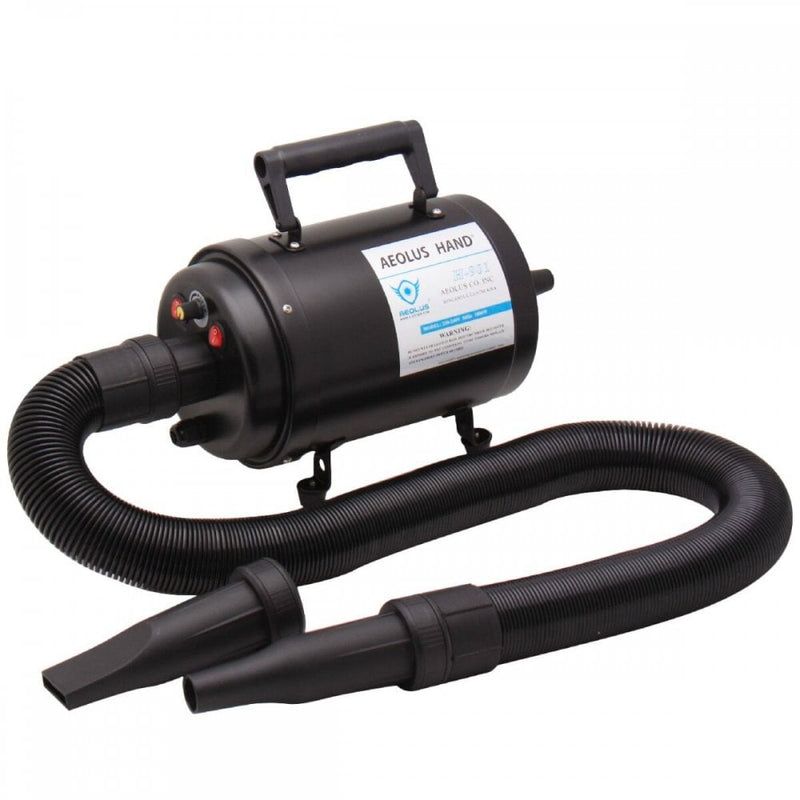 Aeolus Cyclone Blaster Dryer