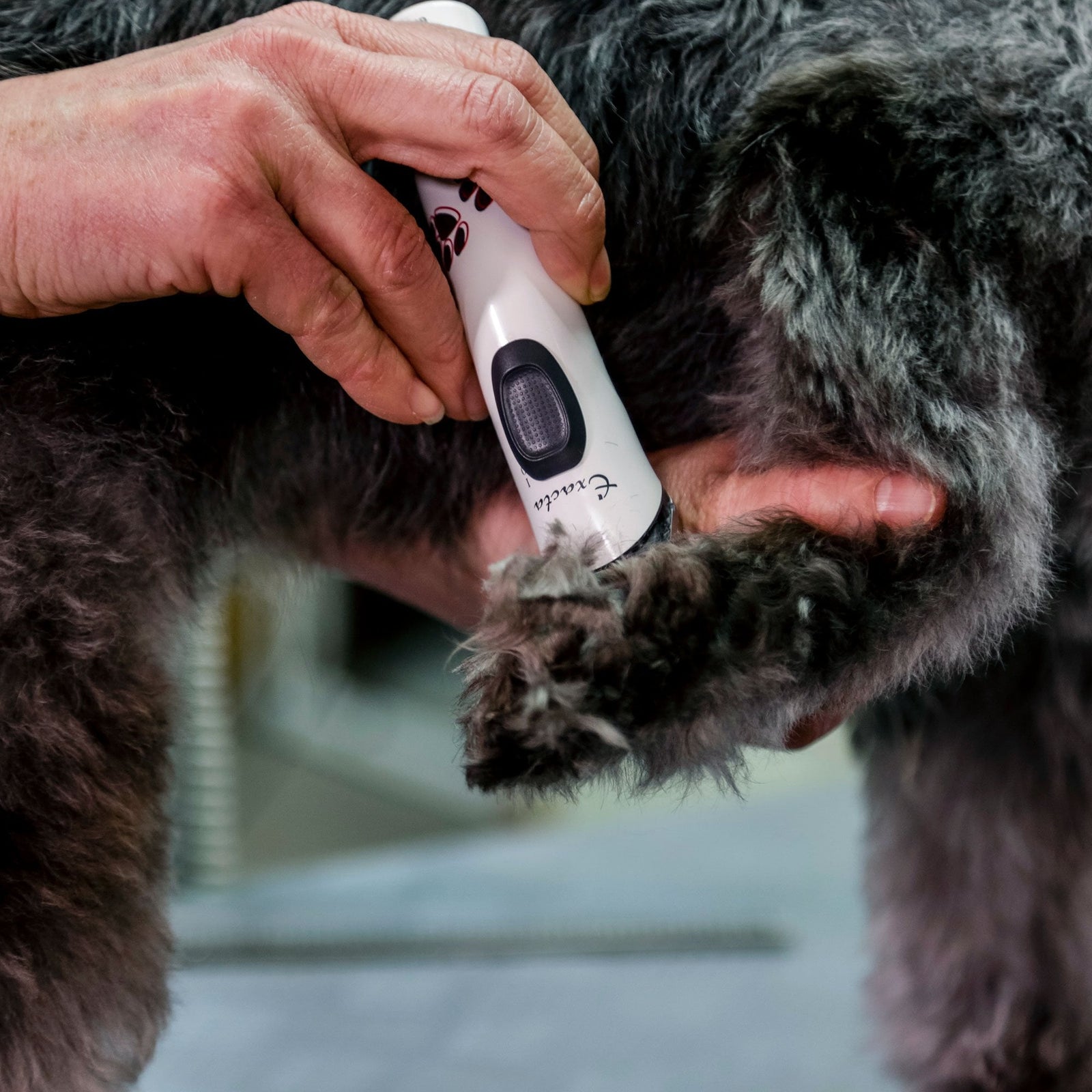Aesculap Exacta Cordless Trimmer