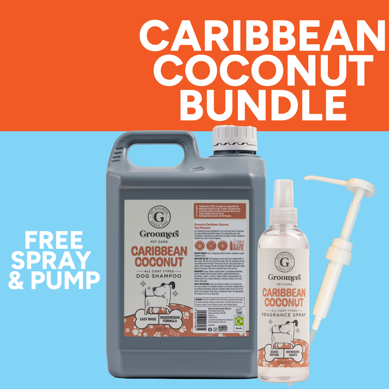 Caribbean Coconut Bundle