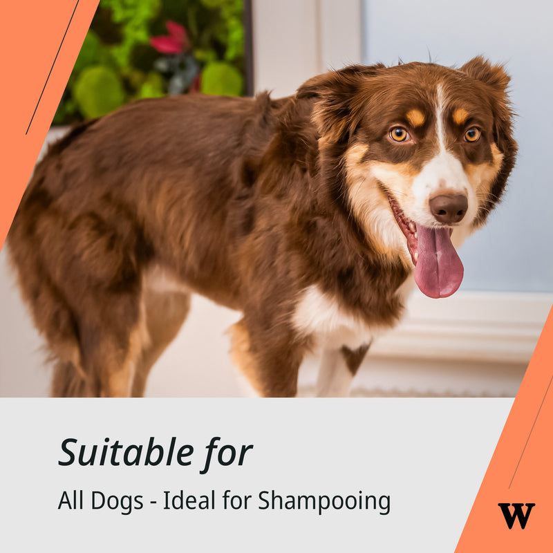 Wahl Sheddy Brush