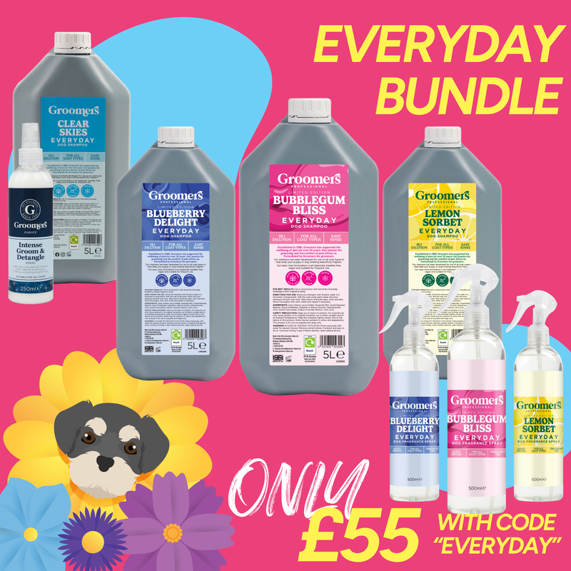 Everyday Limited Edition Bundle