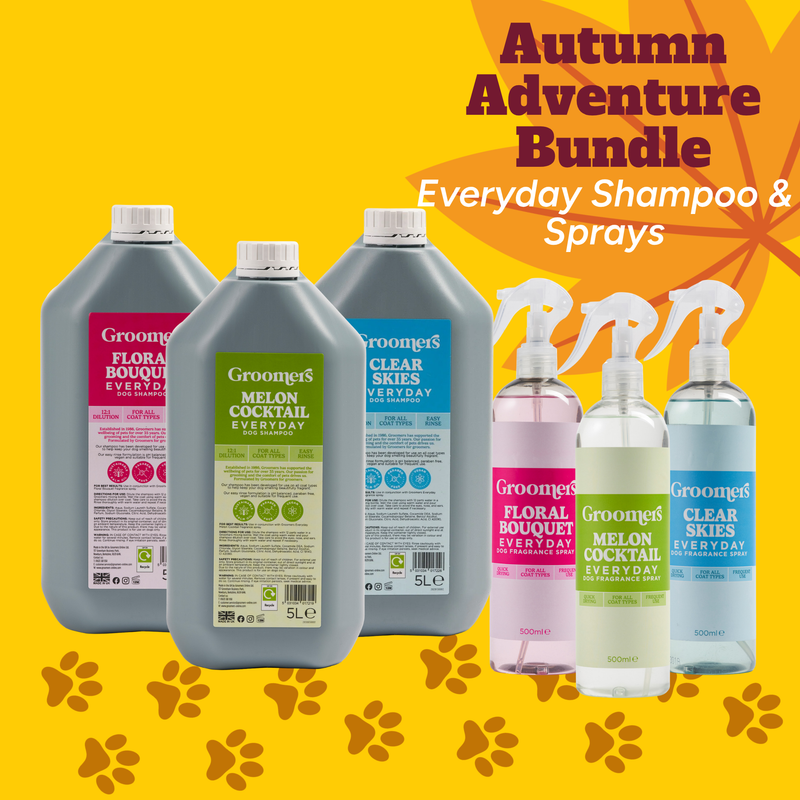 Everyday Shampoo & Spray Bundle