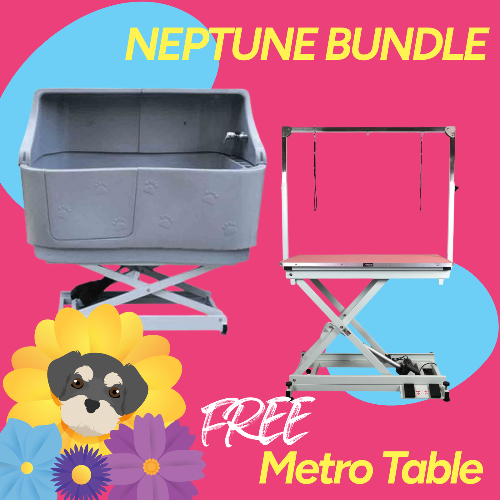 Neptune Electric Grey Bundle