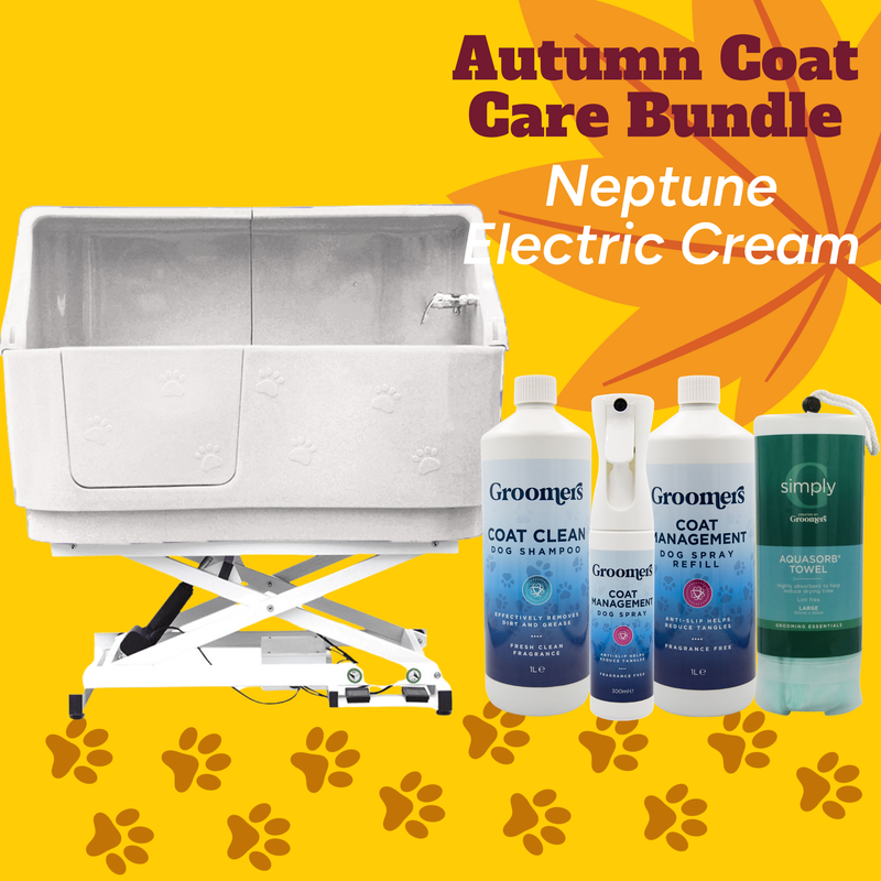 Autumn Bundle - Neptune Electric Cream + Coat Care