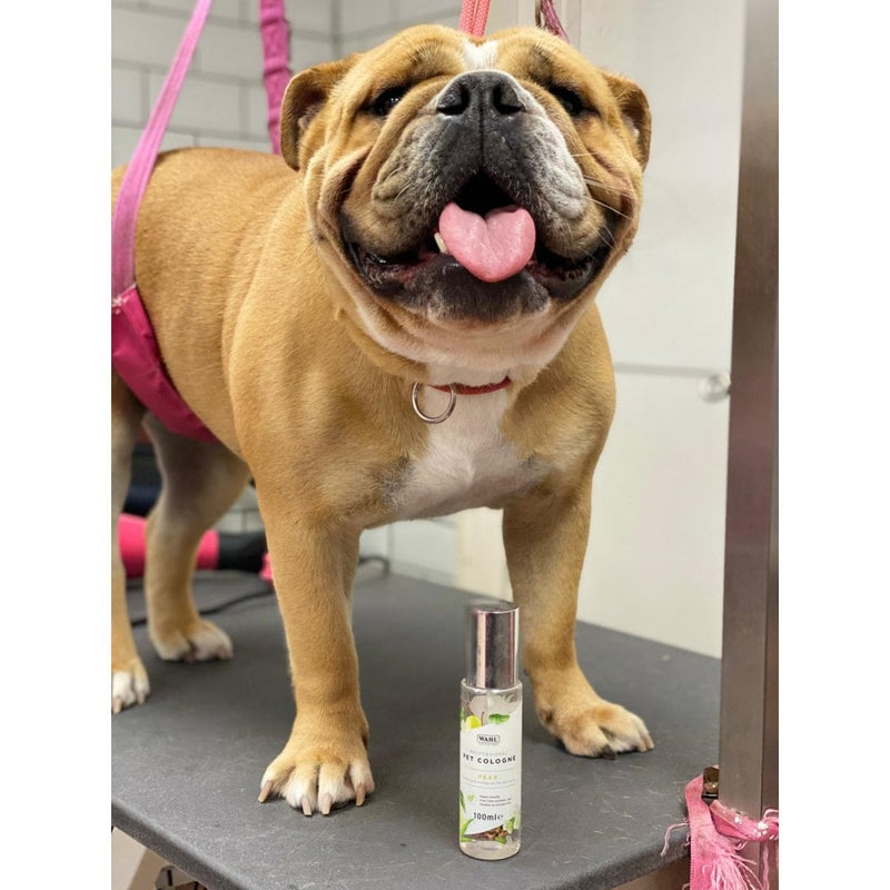 Wahl Professional Pet Cologne â€“ Pear