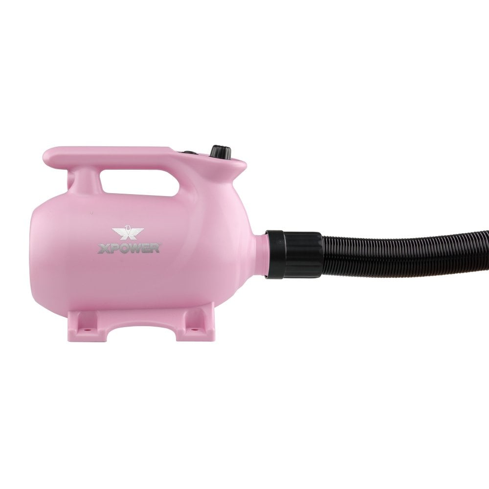 XPower B-123 High Velocity Dryer