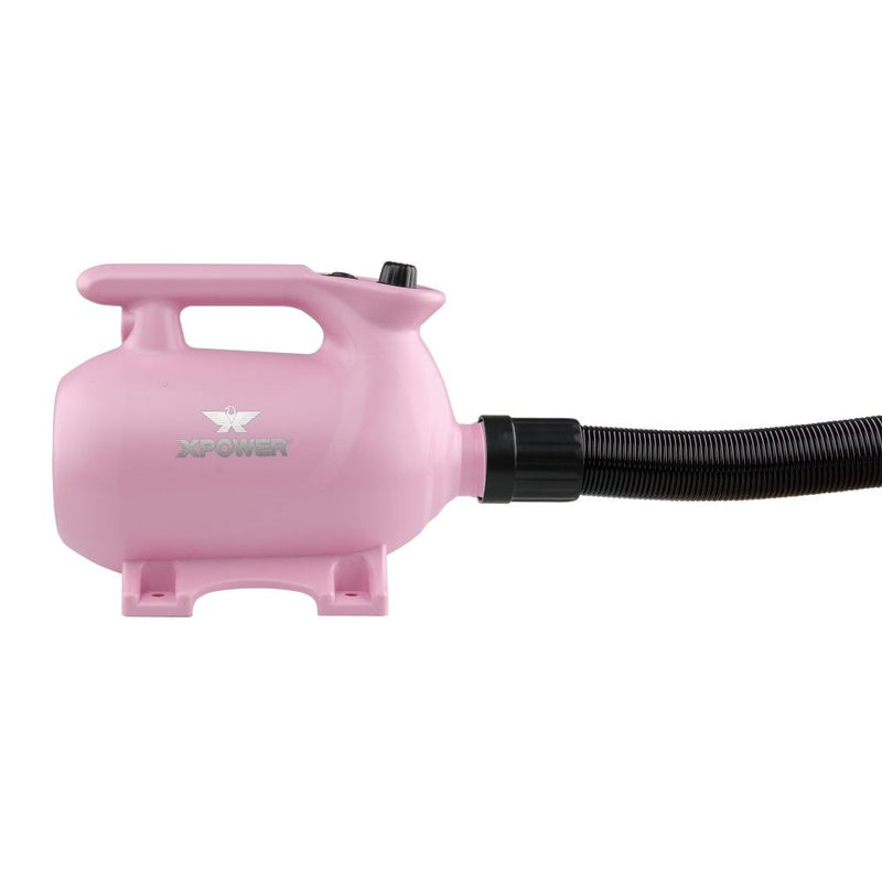 XPower B-123 High Velocity Dryer