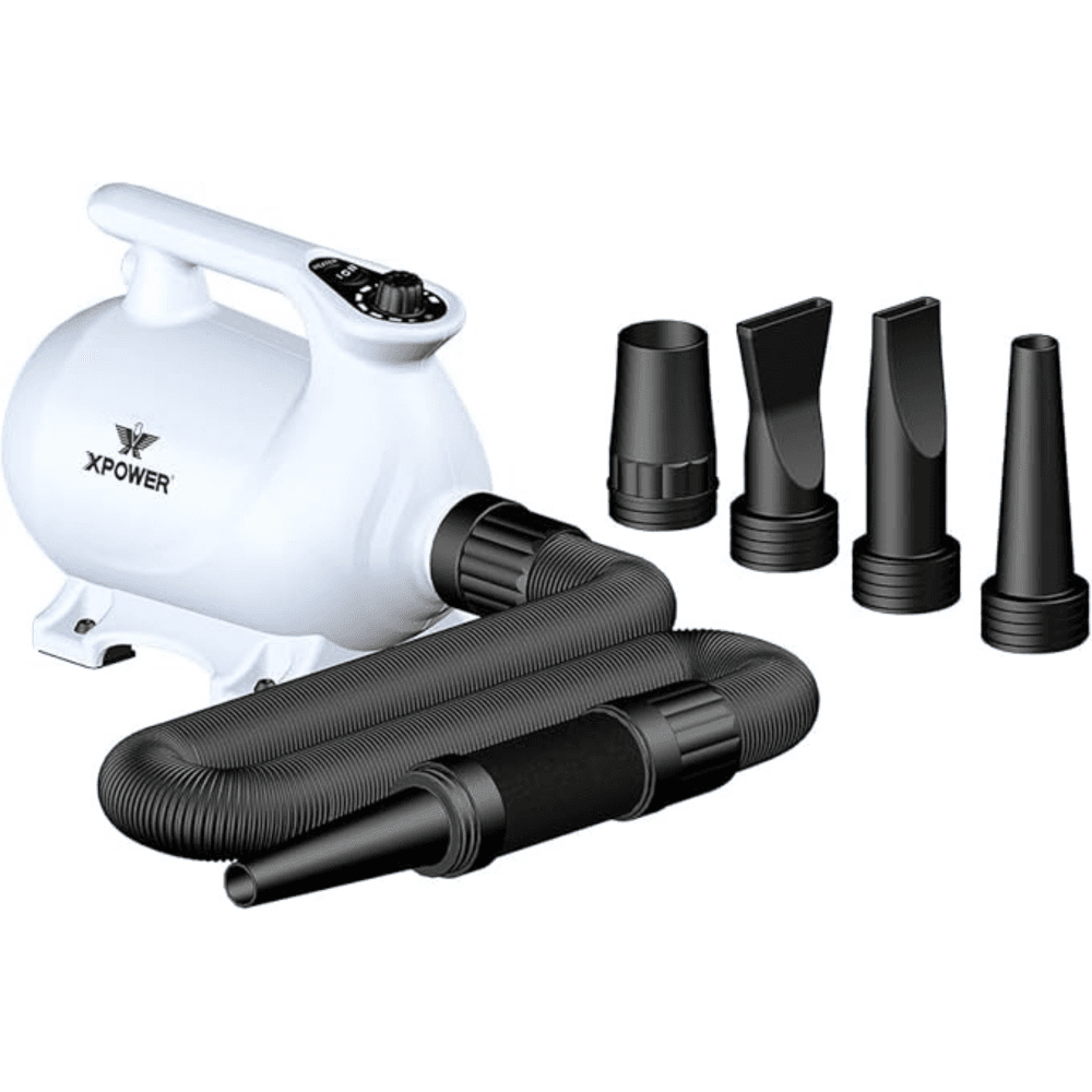 XPower B-123 High Velocity Dryer