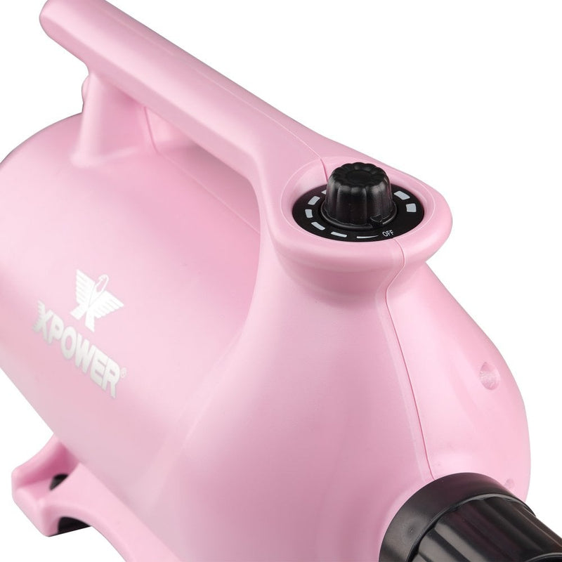 XPower B-163 Double Motor High Velocity Blaster
