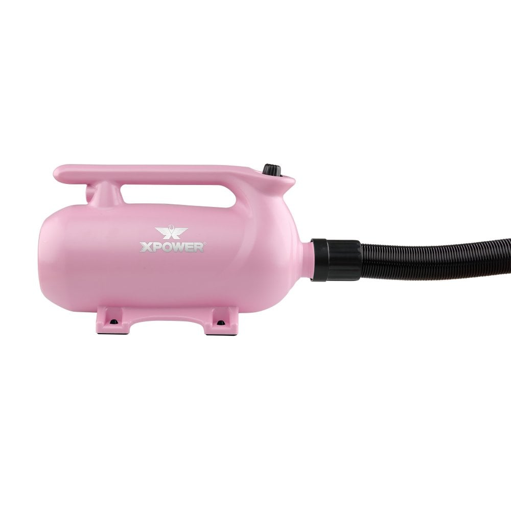 XPower B-163 Double Motor High Velocity Blaster
