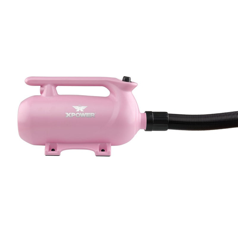 XPower B-163 Double Motor High Velocity Blaster