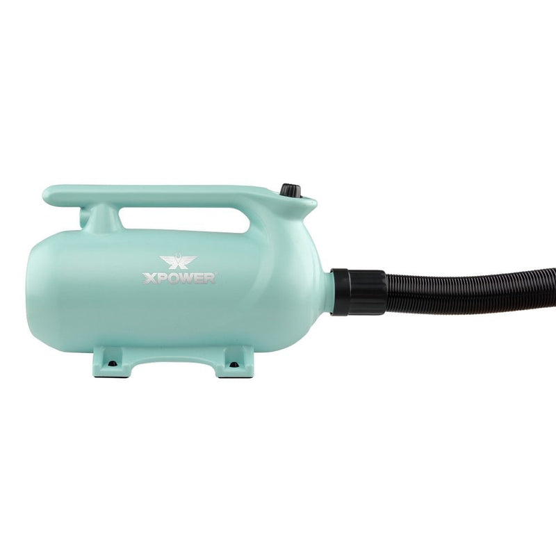 XPower B-163 Double Motor High Velocity Blaster