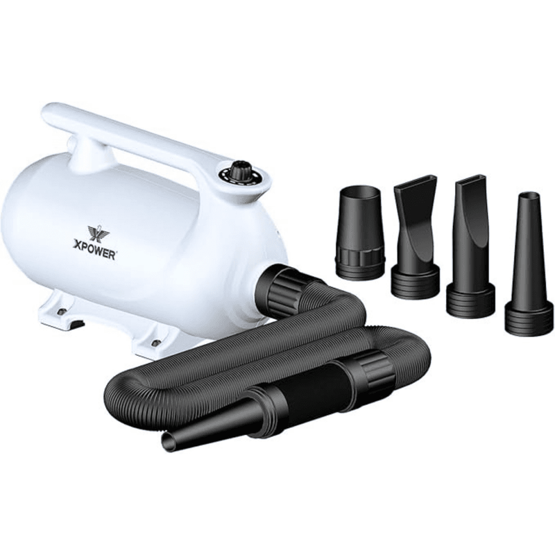 XPower B-163 Double Motor High Velocity Blaster